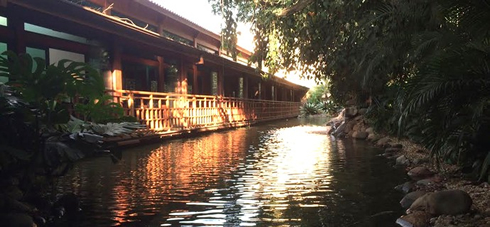 The Royal Palm Plaza Resort Hotel and its lake surroundings